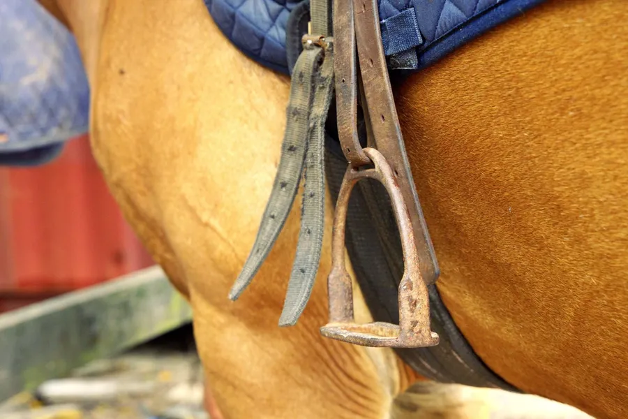 Horse Generic (2) SE CREDIT VanuatuPocketGuide.com