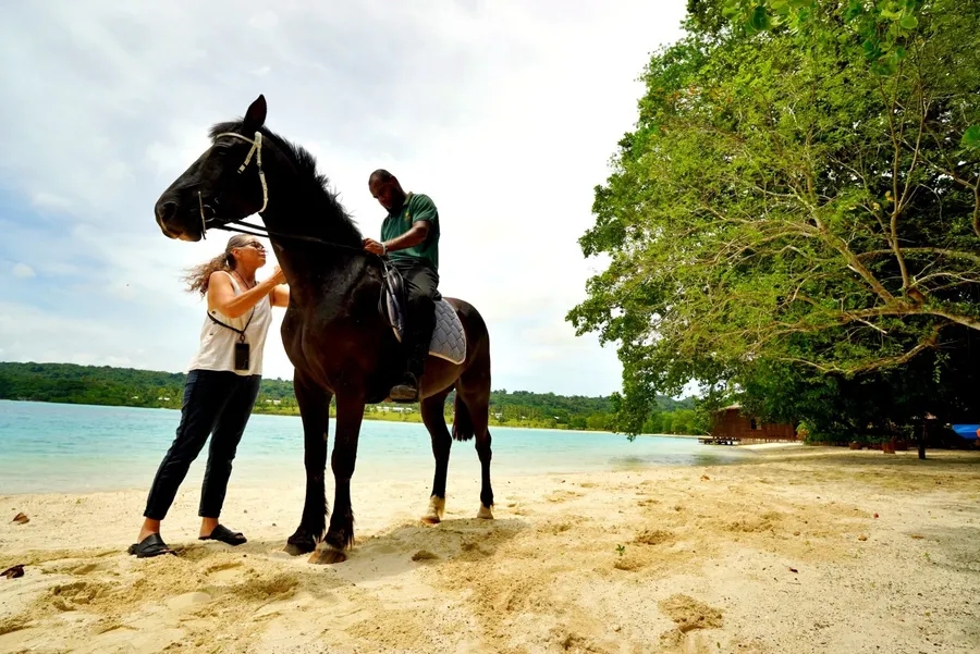 Horse Ratua (1) SEB CREDIT VanuatuPocketGuide.com