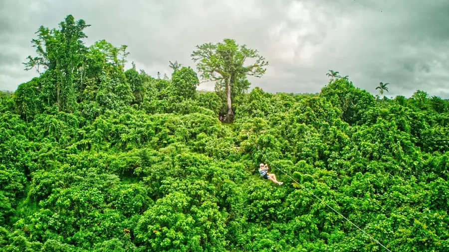Jungle Zipline 1 CREDIT VanuatuPocketGuide.com