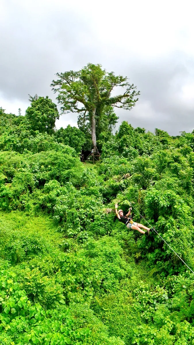 Jungle Zipline 12 CREDIT VanuatuPocketGuide.com