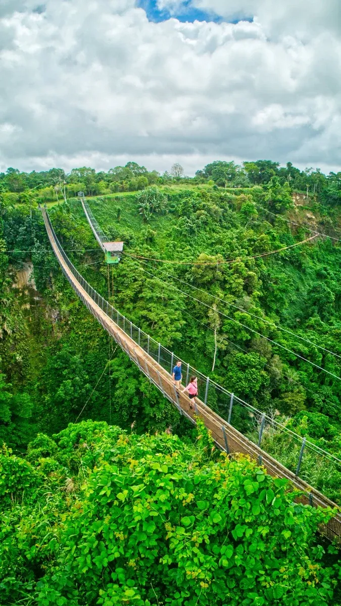Jungle Zipline Skybridge Couple 1 CREDIT VanuatuPocketGuide.com