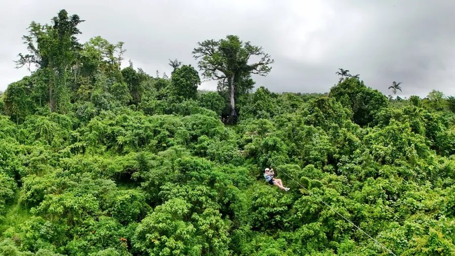 Jungle Zipline Weather CREDIT VanuatuPocketGuide.com