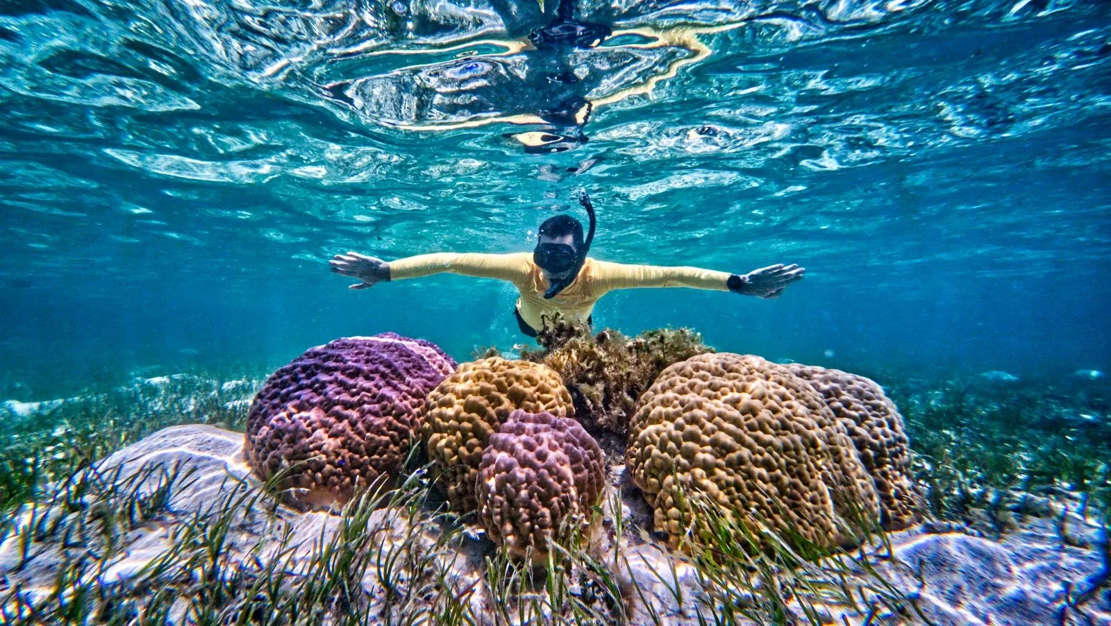 Laura Beach Snorkel Landscape (5) CREDIT MarshallIslandsPocketGuide.com