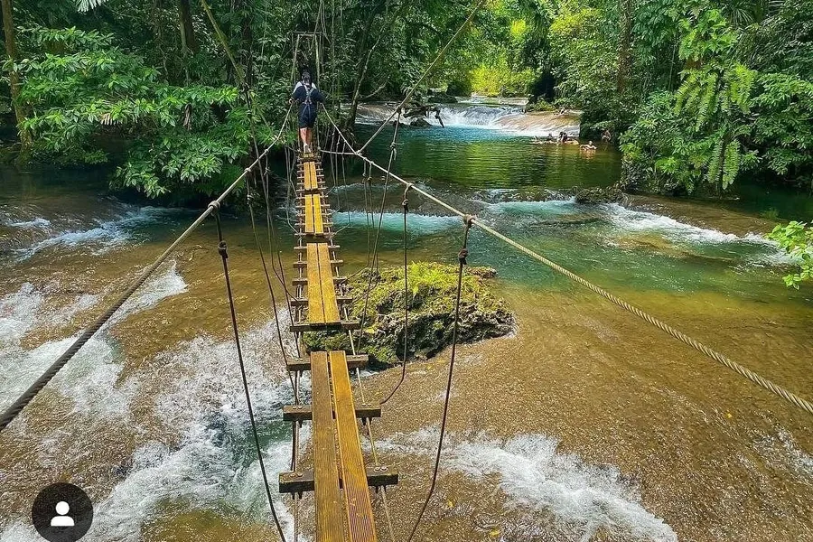 Lavanua Tours & Transfers Eden on the River