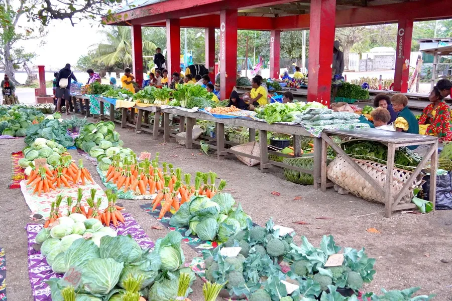 Lenakel Market (3) SEB CREDIT VanuatuPocketGuide.com