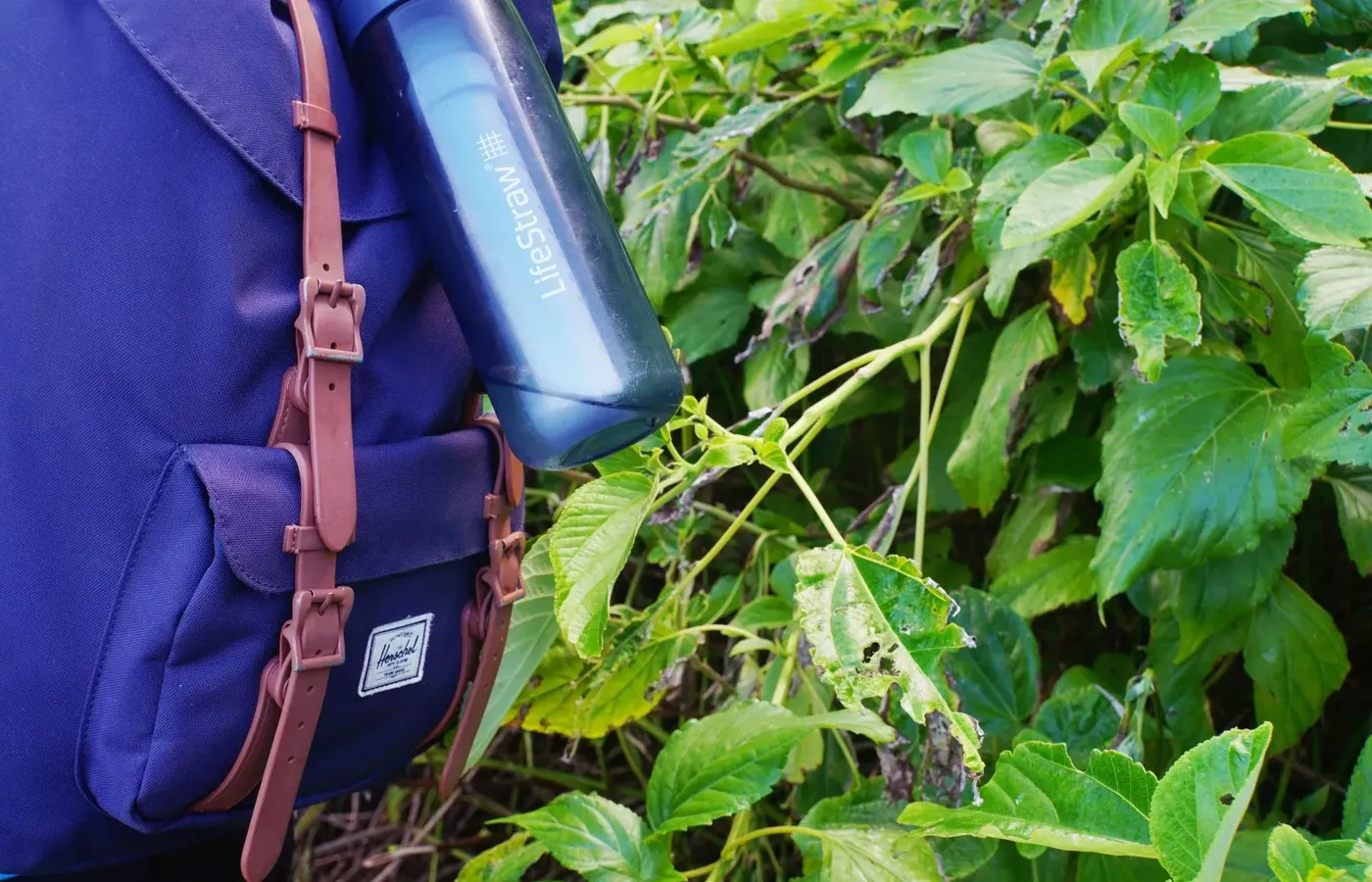 Lifestraw Bottle Water Backpack Hike CREDIT AmericanSamoaPocketGuide.com