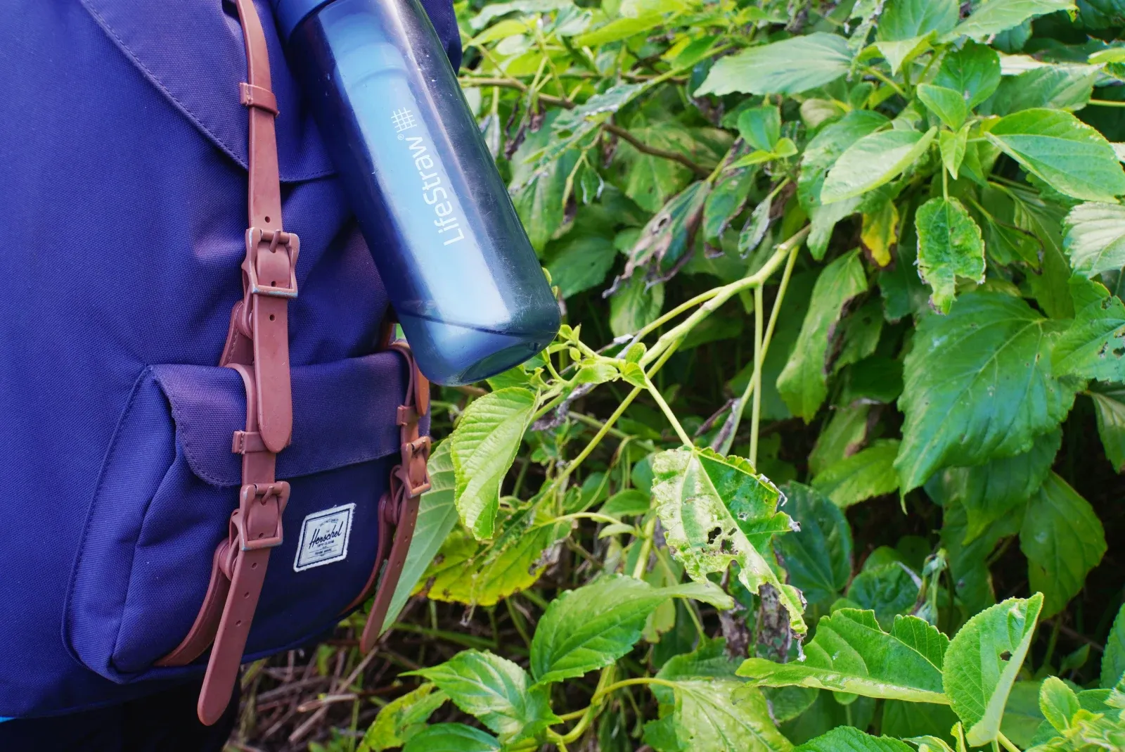 Lifestraw Bottle Water Backpack Hike CREDIT AmericanSamoaPocketGuide.com