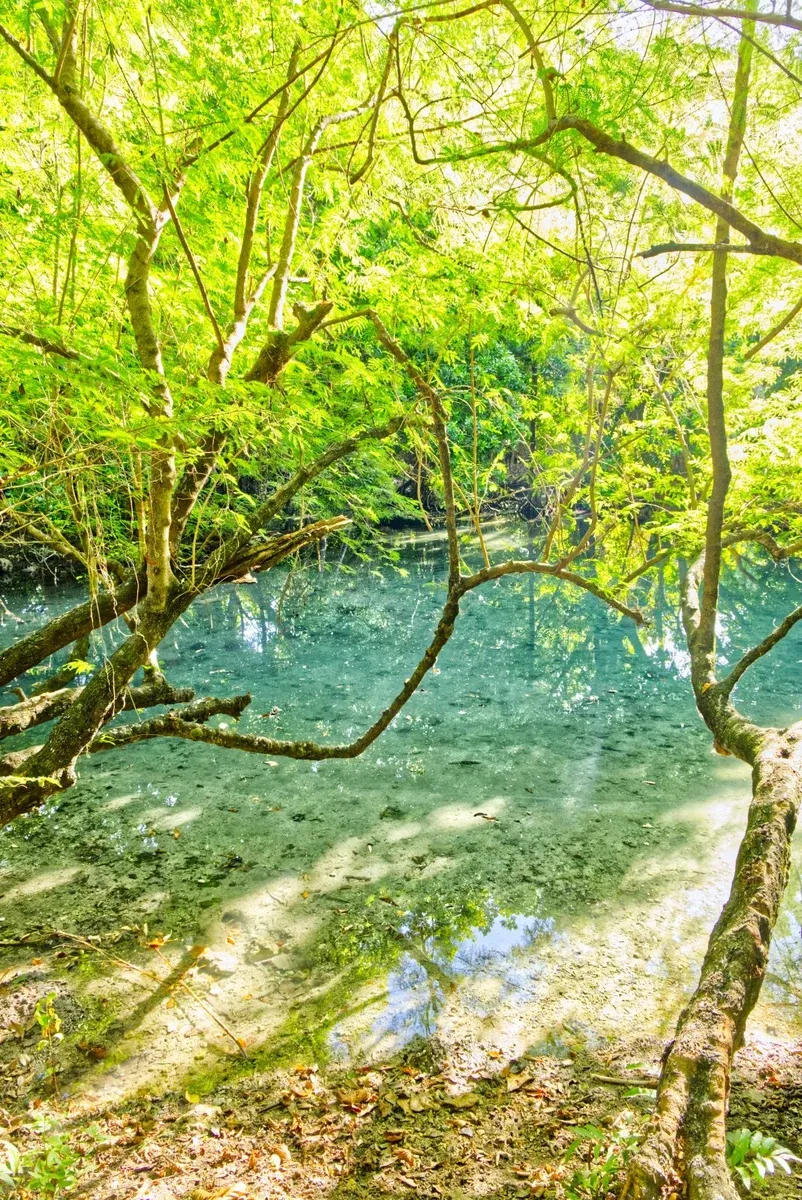 Litzlitz Swimming Hole 1 CREDIT VanuatuPocketGuide.com