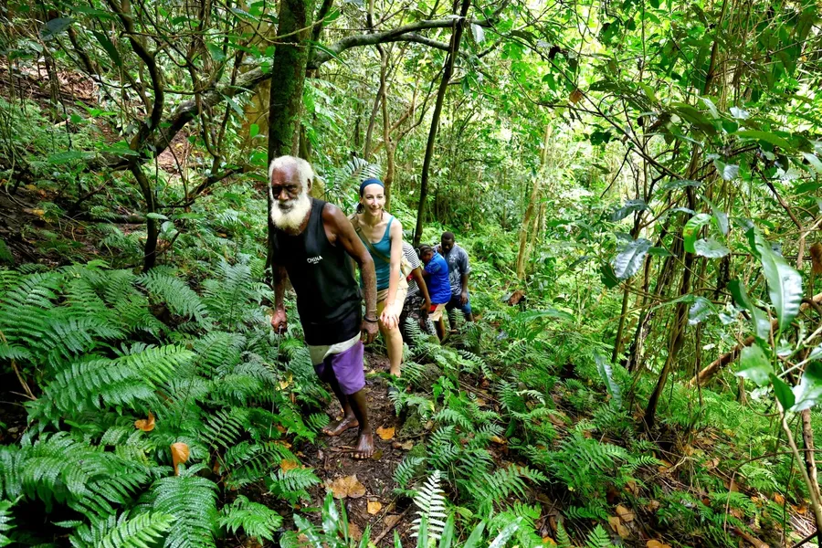 Losinwei Waterfall Hike Forest Walk (6) SEB CREDIT VanuatuPocketGuide.com