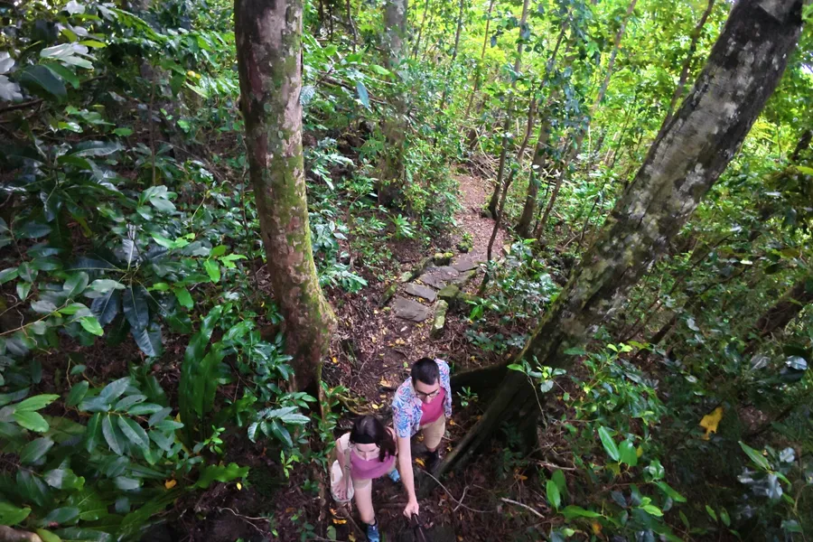 Lower Sauma Trail Couple Hike (2) CREDIT AmericanSamoaPocketGuide.com