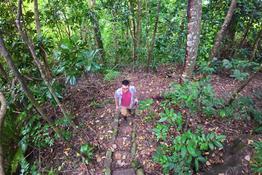 Lower Sauma Trail Hike Walk CREDIT AmericanSamoaPocketGuide.com