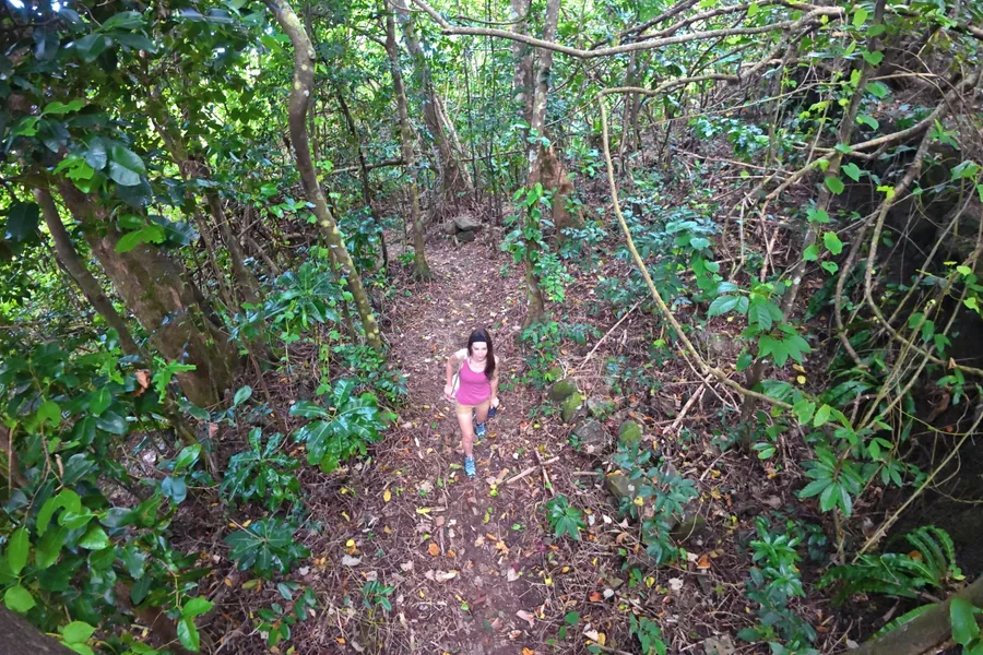 Lower Sauma Trail Walk Hike CREDIT AmericanSamoaPocketGuide.com