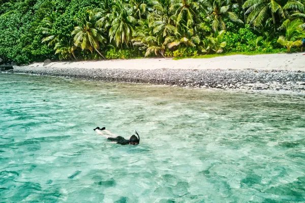 Mafafa Beach Snorkel CREDIT AmericanSamoaPocketGuide.com