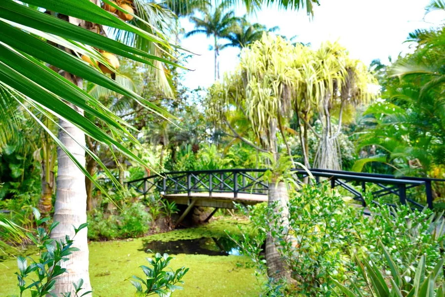 Maire Nui Gardens Cafe (2) SEB CREDIT CookIslandsPocketGuide.com