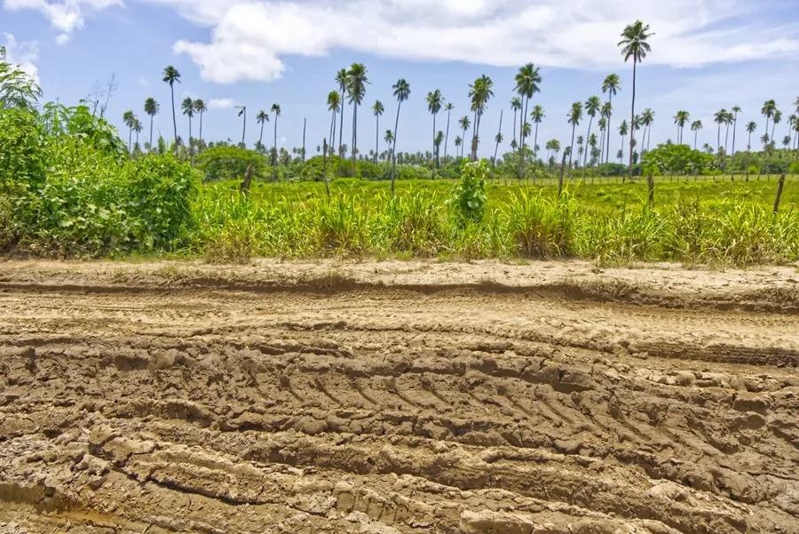Malekula Roads Driving Mud CREDIT VanuatuPocketGuide.com