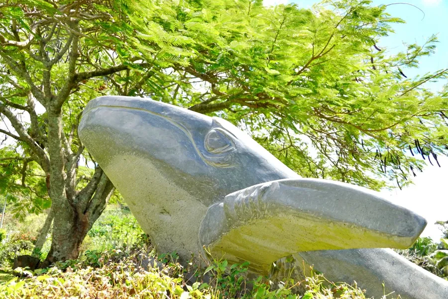 Manongi Sculpture Garden (1) SEB CREDIT CookIslandsPocketGuide.com