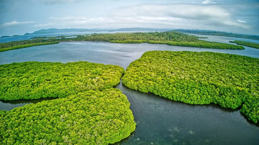 Maskelyne Mangrove Yacht Club Malog Landscape 5 CREDIT VanuatuPocketGuide.com