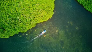 Maskelyne Mangrove Yacht Club Malog Landscape 6 CREDIT VanuatuPocketGuide.com