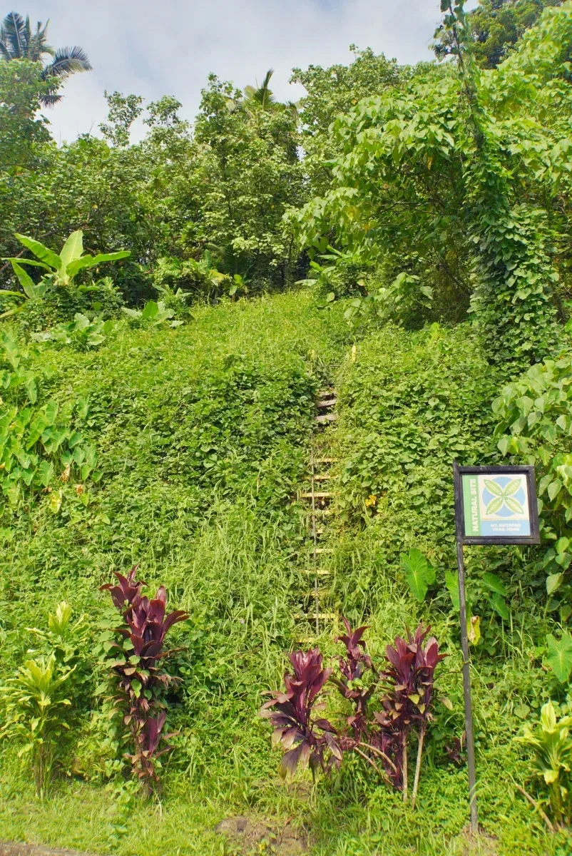 Matafao Trailhead CREDIT AmericanSamoaPocketGuide.com