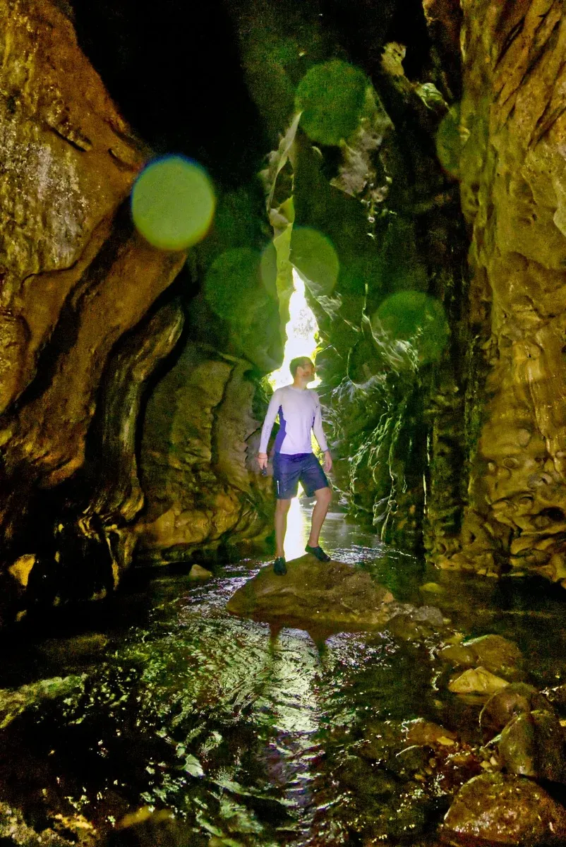 Millennium Cave Robin CREDIT VanuatuPocketGuide.com