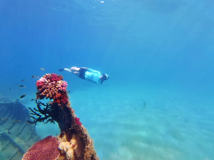 Million Dollar Point Snorkel (2) U CREDIT VanuatuPocketGuide.com