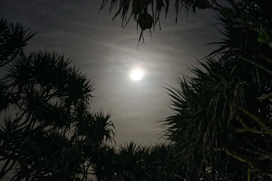 Moon Stargazing Night CREDIT AmericanSamoaPocketGuide.com