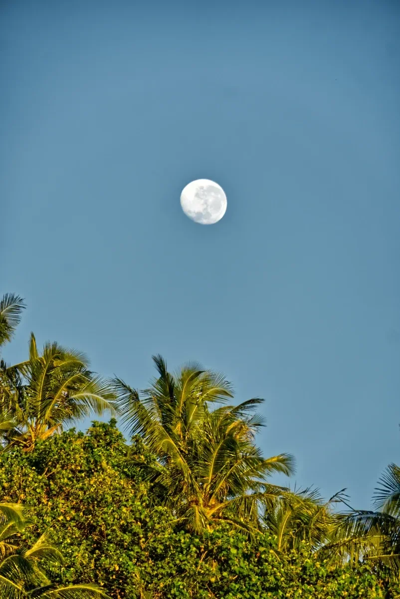 Moon Stargazing Weather 1 CREDIT AmericanSamoaPocketGuide.com