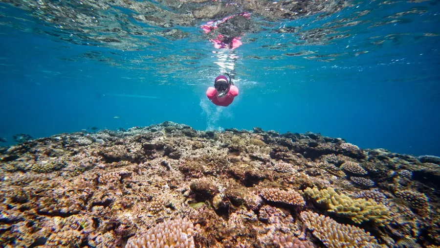 Moso Island Snorkel Moso Island Tours (2) CREDIT VanuatuPocketGuide.com