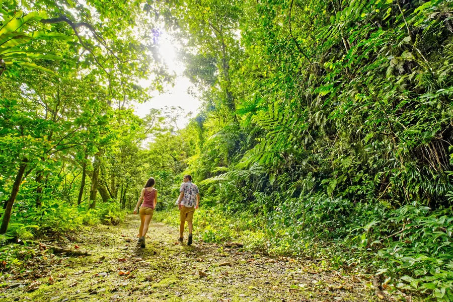 Mt Alava Trail National Park Hike Couple CREDIT AmericanSamoaPocketGuide.com
