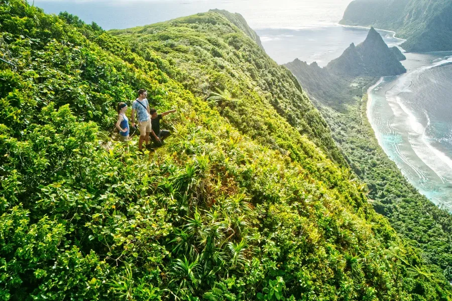 Mt Tumu Summit Ofu Manu'a Guide CREDIT AmericanSamoaPocketGuide.com