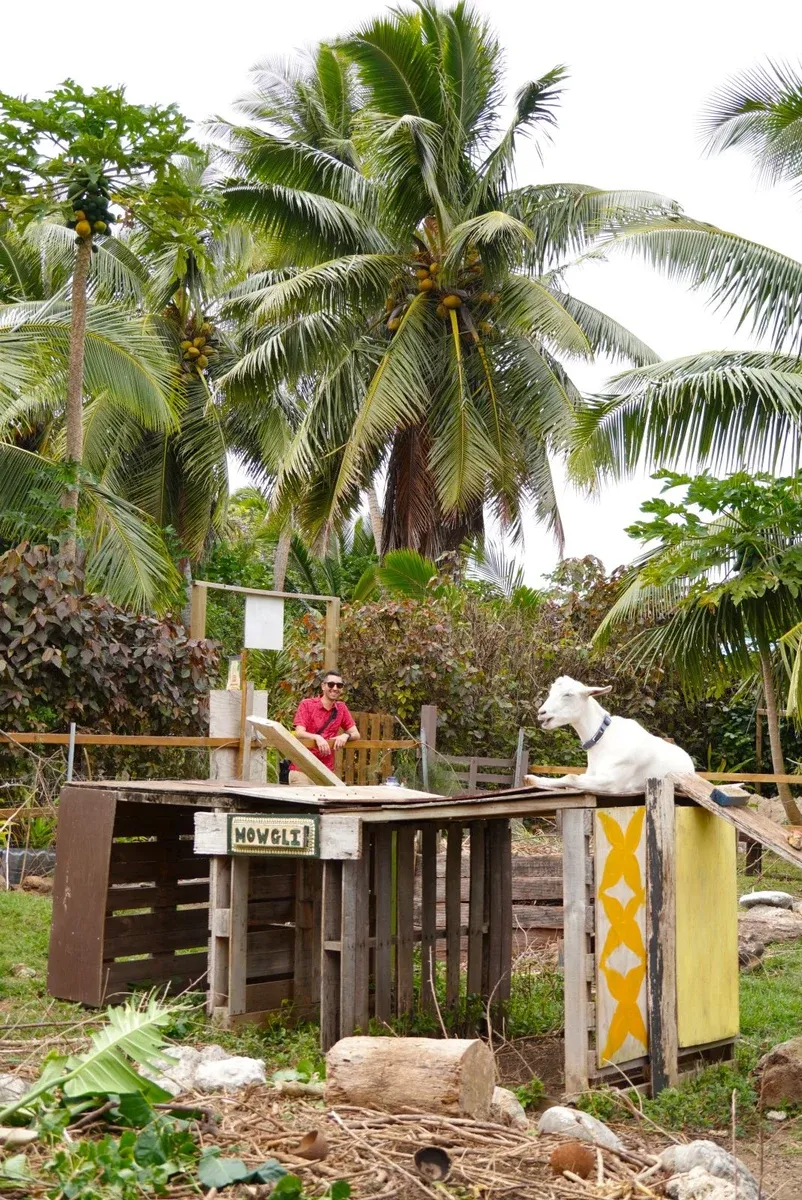 Mum's Goat Cafe Raro 1 CREDIT CookIslandsPocketGuide.com