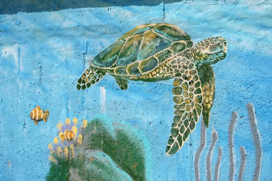 Mural Beach (3) IC&C CREDIT MarshallIslandsPocketGuide.com