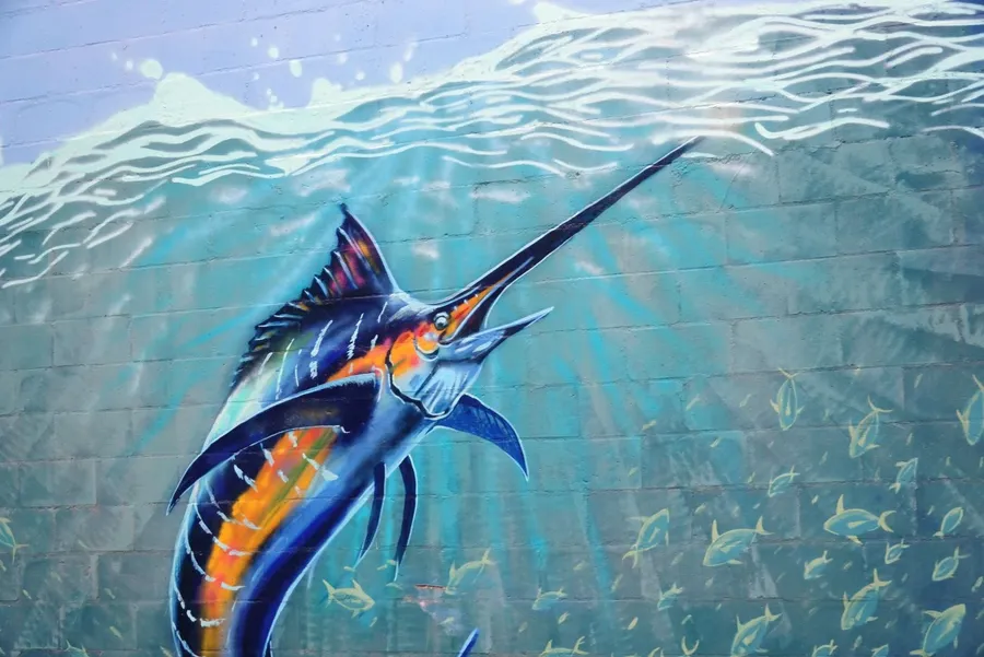 Mural Fisheries IC&C CREDIT MarshallIslandsPocketGuide.com