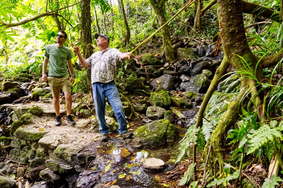 North Shore Tours Rory Guide Forest CREDIT AmericanSamoaPocketGuide.com