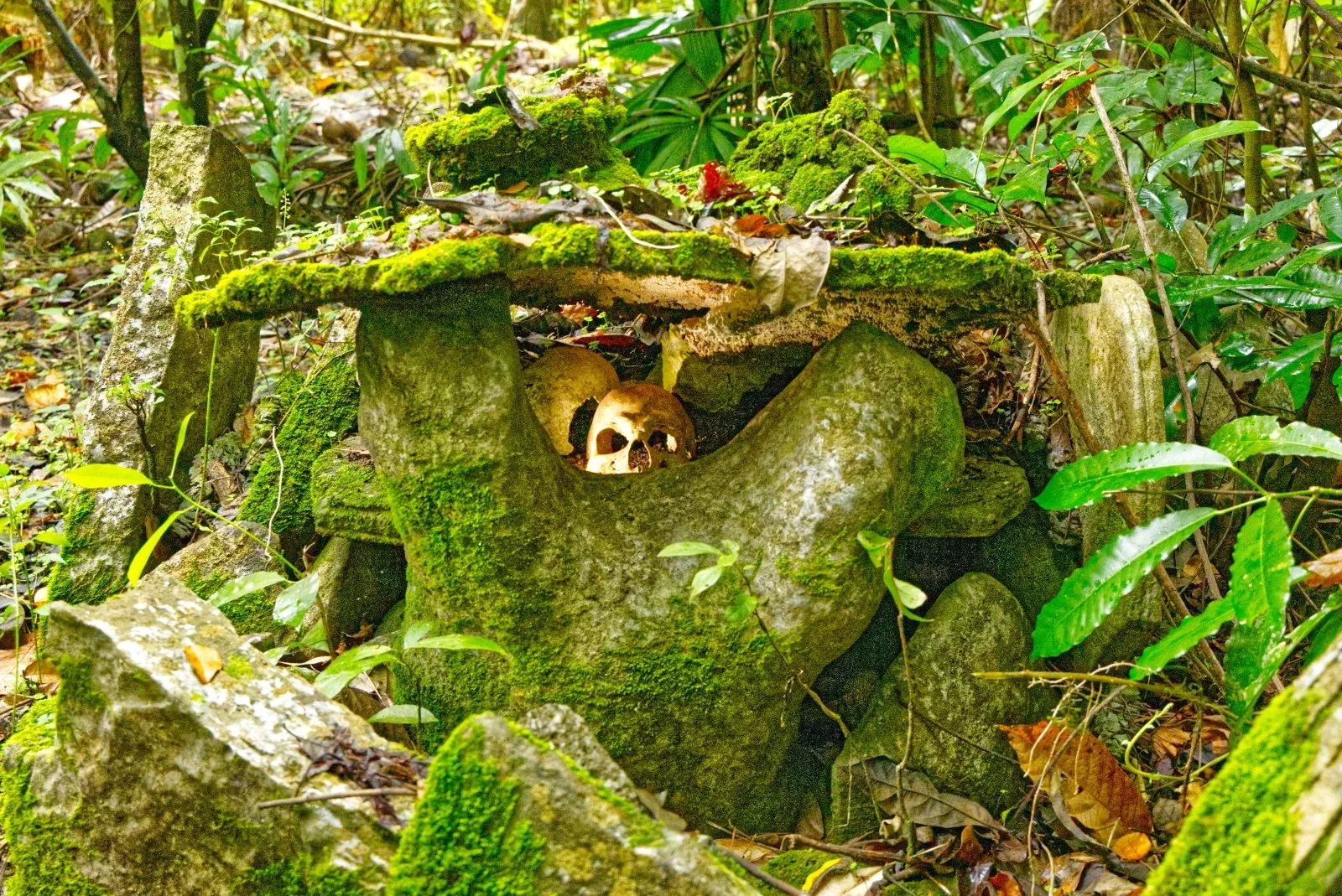 Nowari Cannibal Tours (6 CREDIT VanuatuPocketGuide.com