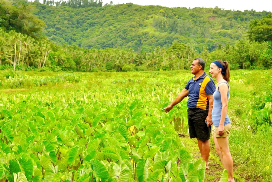 Nuku Taro Plantation hike to Lac Vaifau (4) SEB CREDIT WallisandFutunaPocketGuide.com