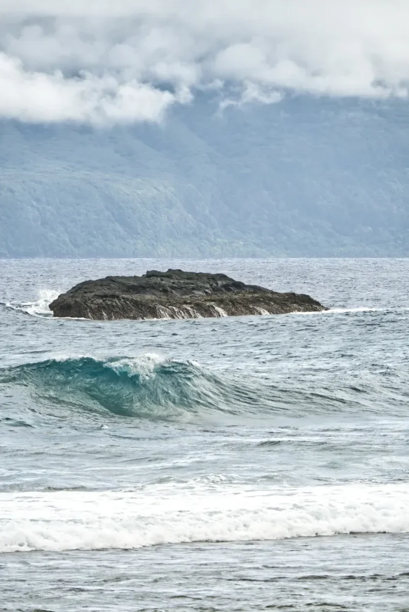 Octopus Ma'afe Rock Ta'u CREDIT AmericanSamoaPocketGuide.com