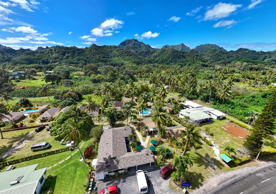 Palm Grove Landscape Rarotonga 1 CREDIT CookIslandsPocketGuide.com