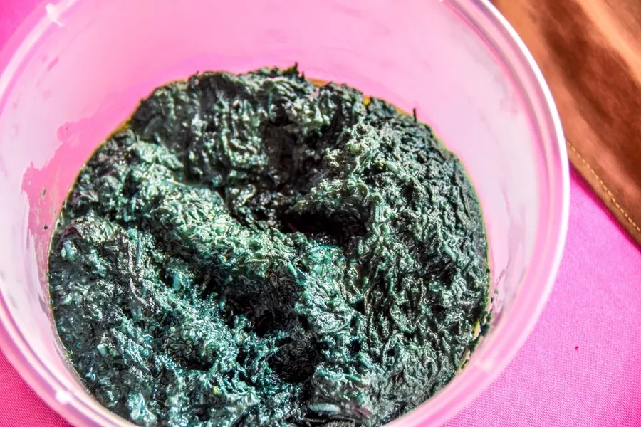 Palolo Paste Food Delicacy American Samoa