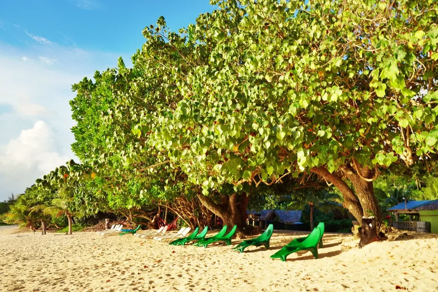 Pele Beach Snorkelling Tours (1) CREDIT VanuatuPocketGuide.com