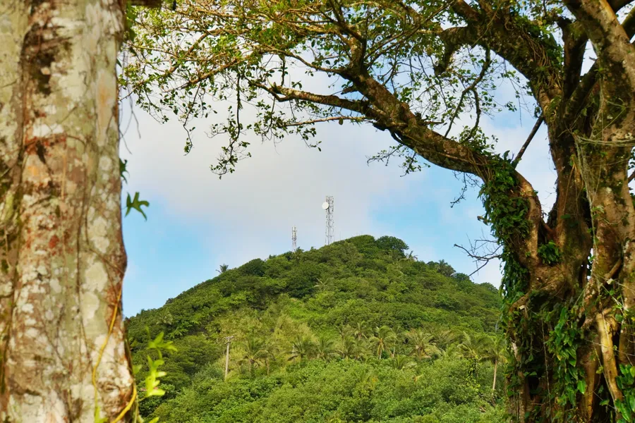 Phone Tower Signal Mobile SIM CREDIT AmericanSamoaPocketGuide.com