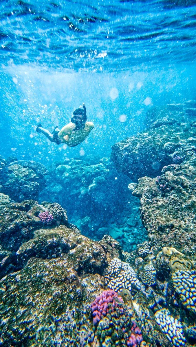 Piscene Blue Blue Pools Snorkelling (2) CREDIT WallisandFutunaPocketGuide.com