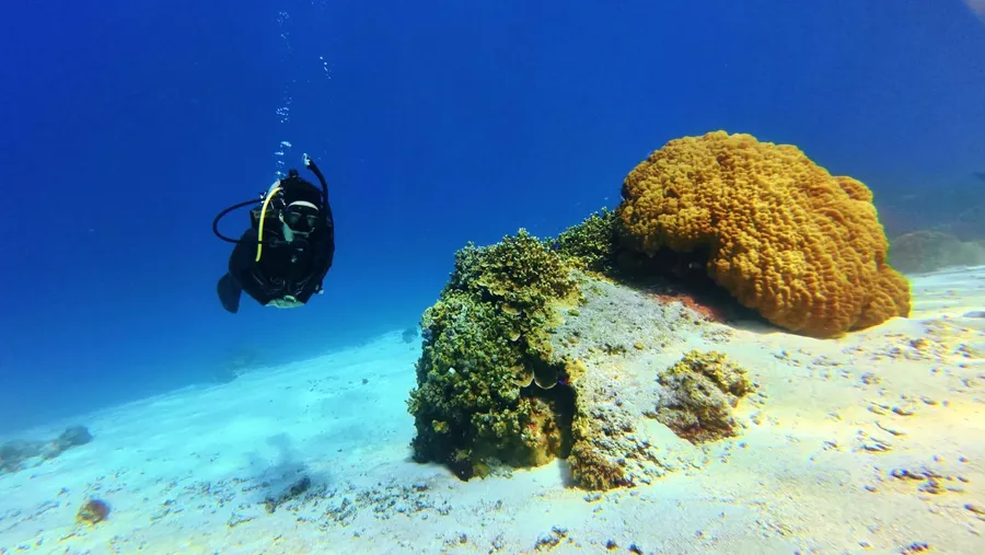 Raycrew Dive Scuba No. 9 Coral (2) U CREDIT MarshallIslandsPocketGuide.com
