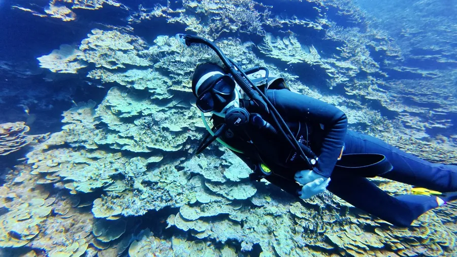 Raycrew Dive Scuba No. 9 Coral (4) U CREDIT MarshallIslandsPocketGuide.com