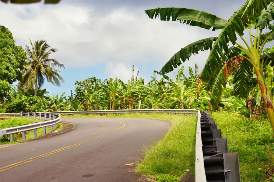 Road Drive Banana CREDIT AmericanSamoaPocketGuide.com