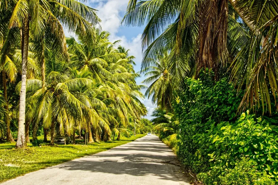 Road Drive CREDIT MarshallIslandsPocketGuide.com