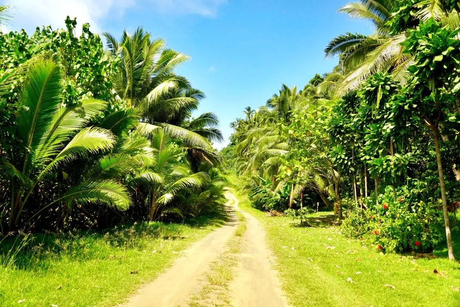 Road North Futuna (2) SEB CREDIT WallisandFutunaPocketGuide.com
