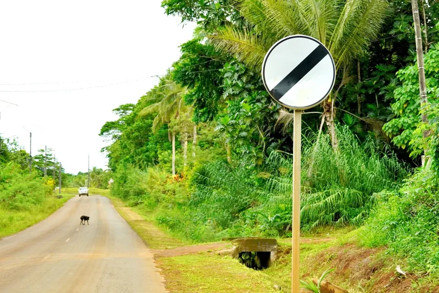 Road Sign Speed Driving SEB CREDIT WallisandFutunaPocketGuide.com