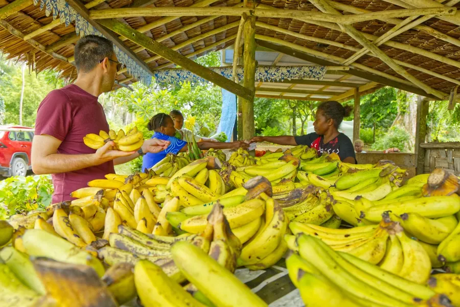 Roadside Market Stall East Coast Santo CREDIT VanuatuPocketGuide.com