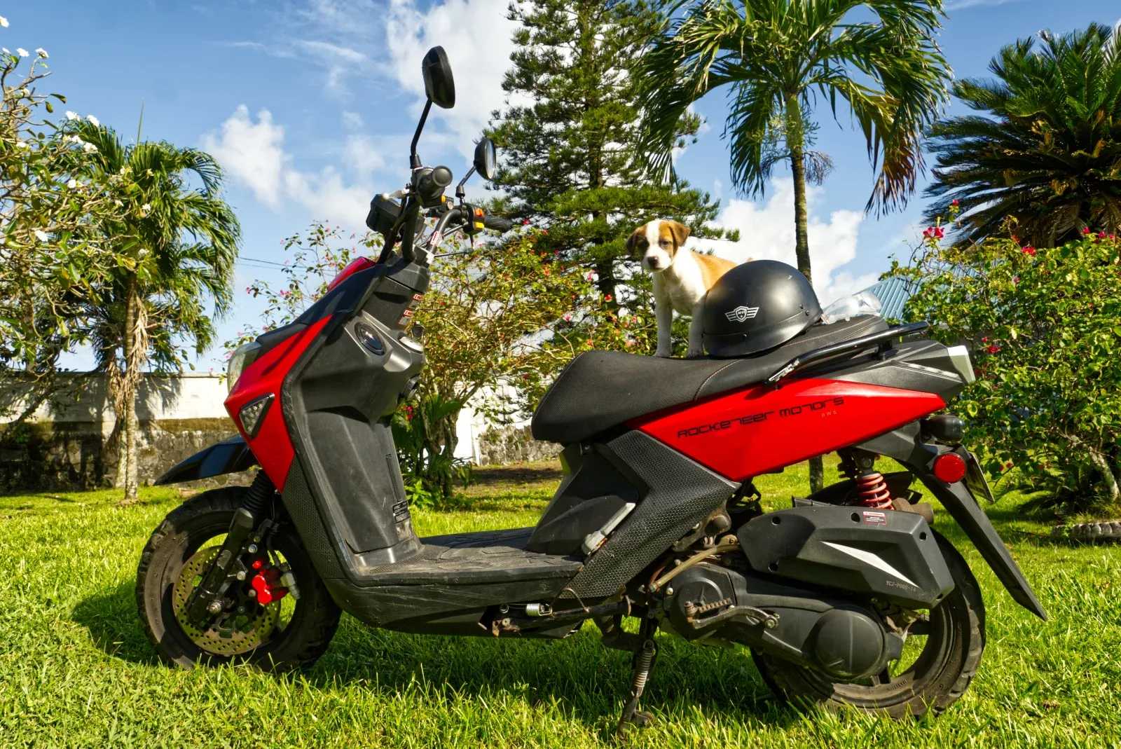 Rocketeer Motors Scooter Rental CREDIT AmericanSamoaPocketGuide.com